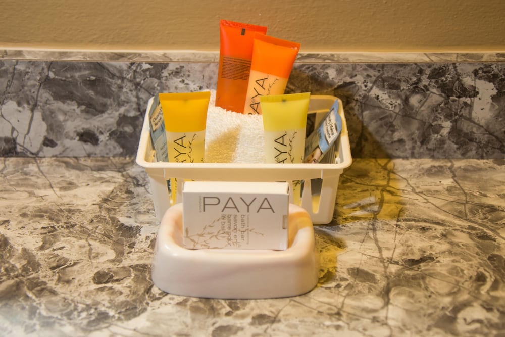 Фото Contenta Inn