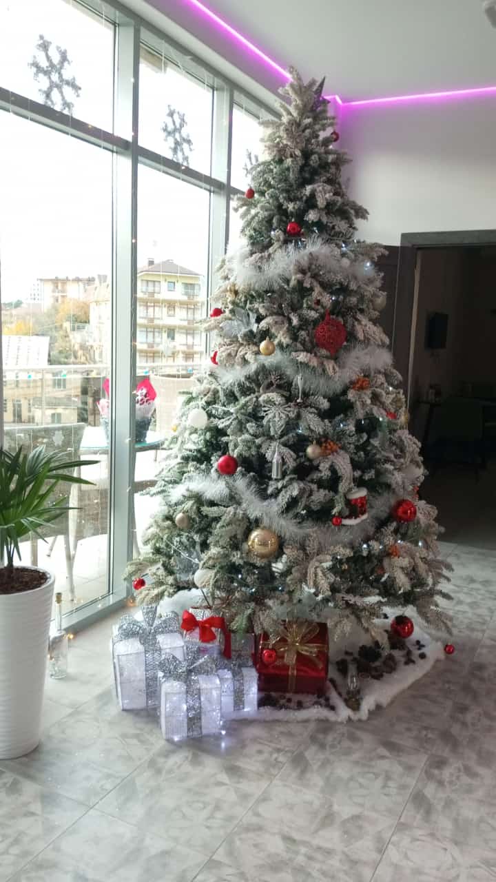 Фото Черноморская Звезда