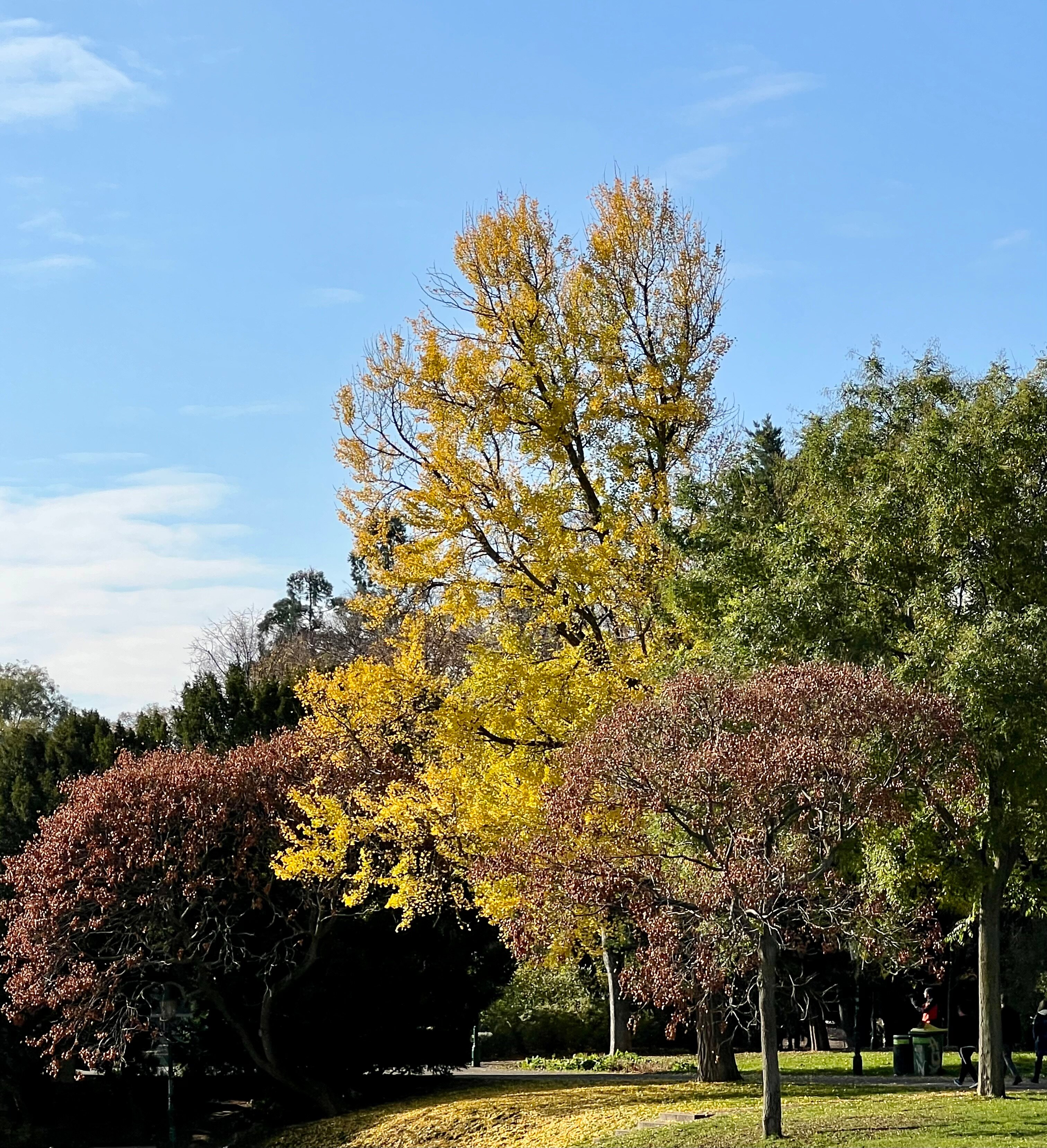 Фото Hilton Vienna Park