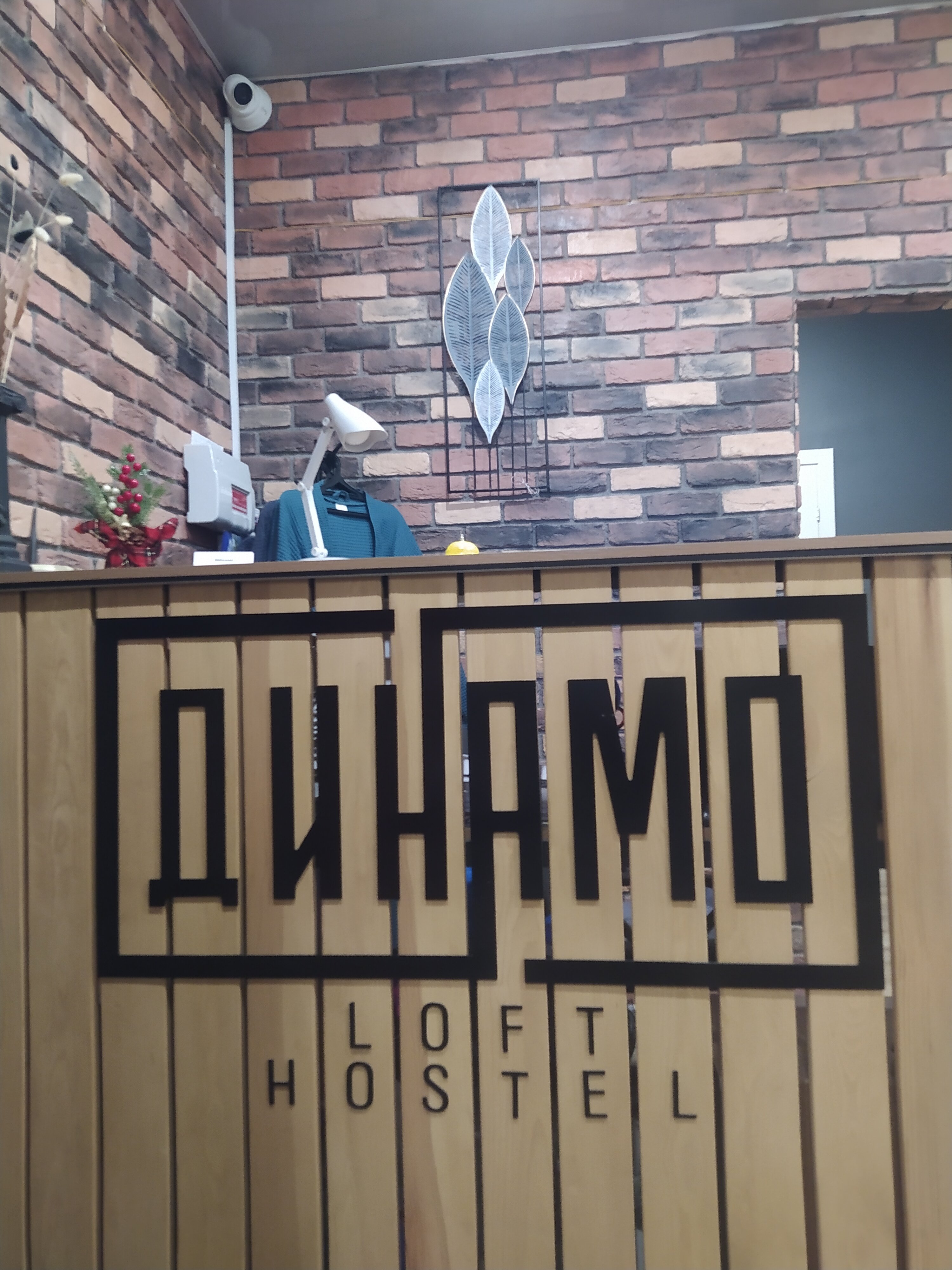 Фото Динамо Loft