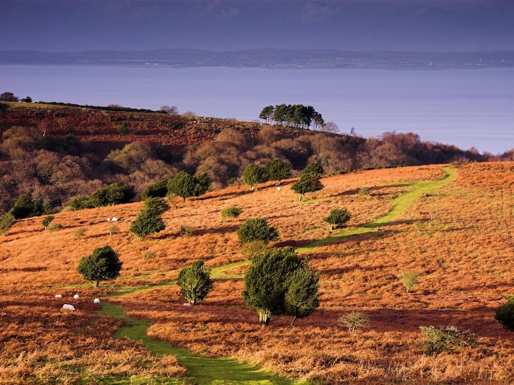 Фото The Hood Arms