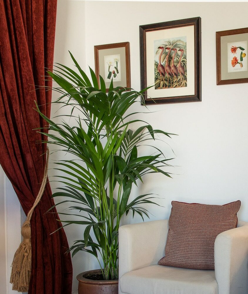 Фото La Casa del Califa