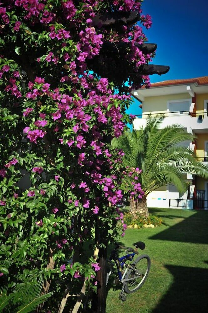 Фото Kapsohora Inn