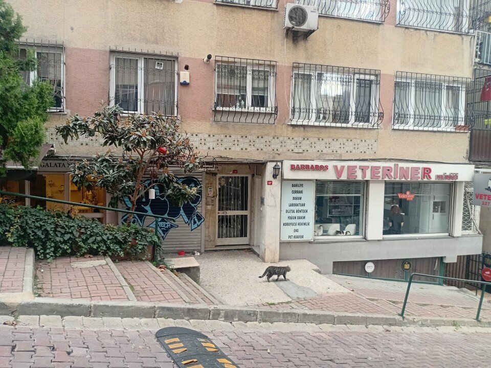 Public fund Yildiz Technical University Foundation, Istanbul, photo