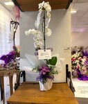 Orkide Cicekcilik (Muğla, Milas District, İsmet Paşa Mah., Ahmet Taner Kışlalı Cad., 49), flower shop