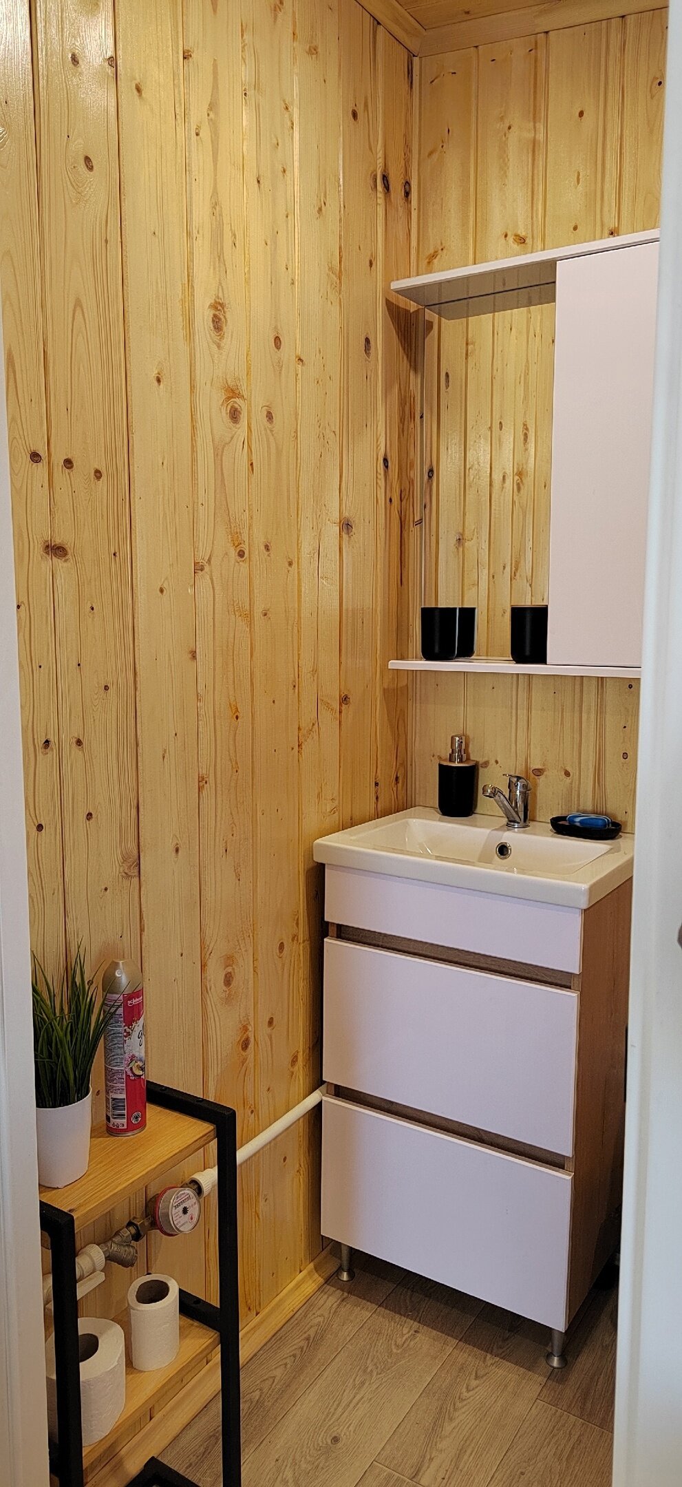 Фото Малина кемп