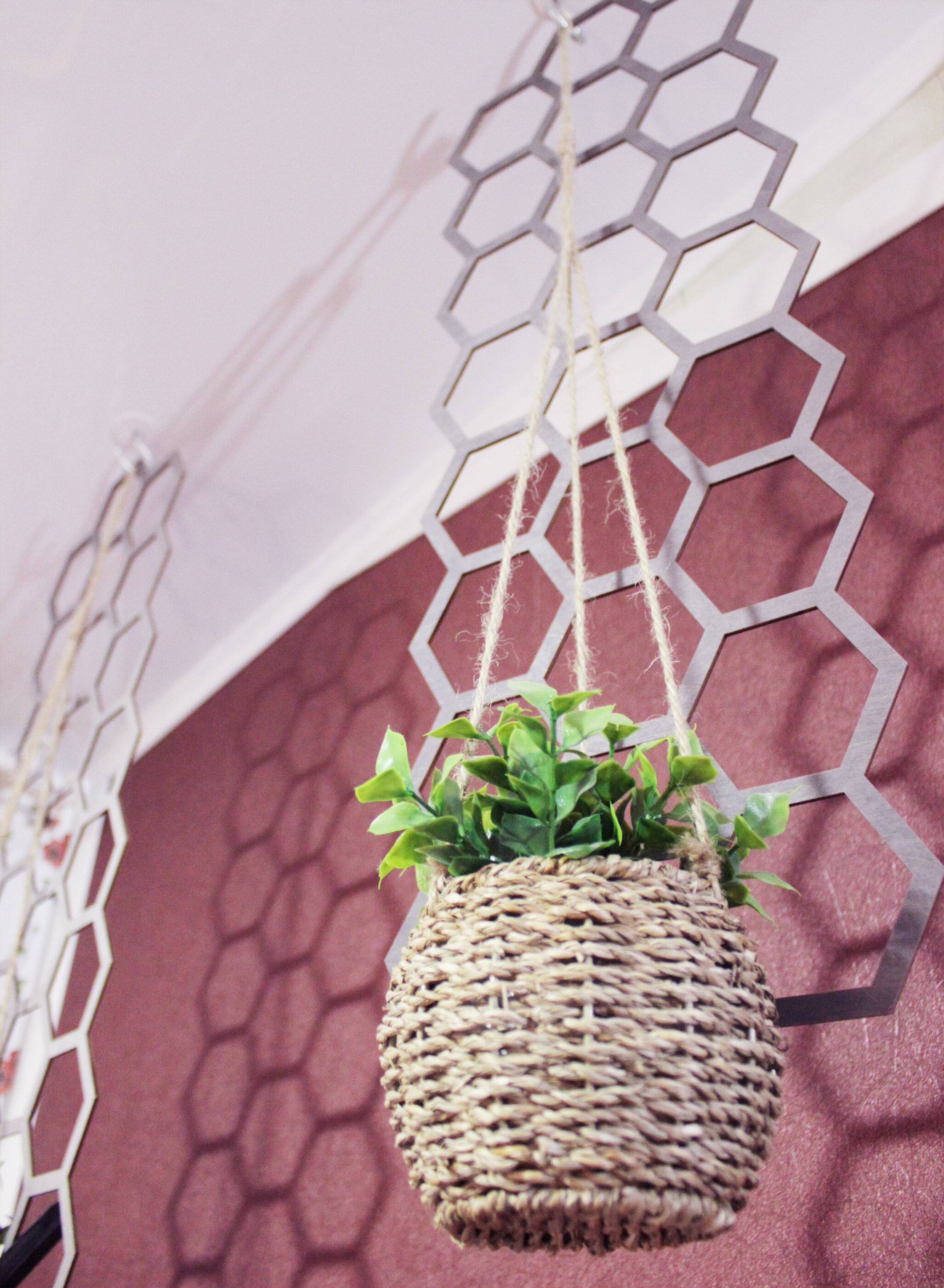 Фото Викинг