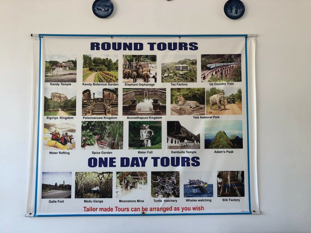 Фото Ocean View Cottage