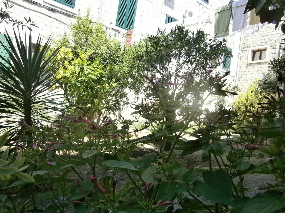 Фото Apartments and Rooms Djanovic