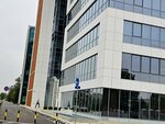Ernst & Young (Vladimira Popovica Street, 8A), audit company