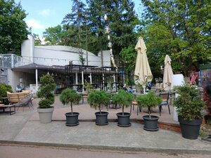 Emily Garden Bar & Restaurant (Belgrade, Vjekoslava Kovaca, 11), restaurant