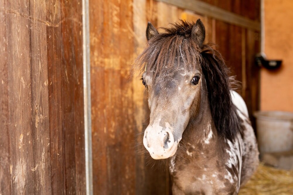 Фото B&B Tenuta Barone Gallipoli