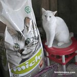 Temizmama.com (İzmir, Bornova, Erzene Mah., 1 Sok., 9), artículos para animales al por mayor