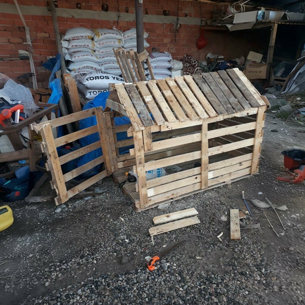 Primary school Ilica Primary School, Ayas, photo