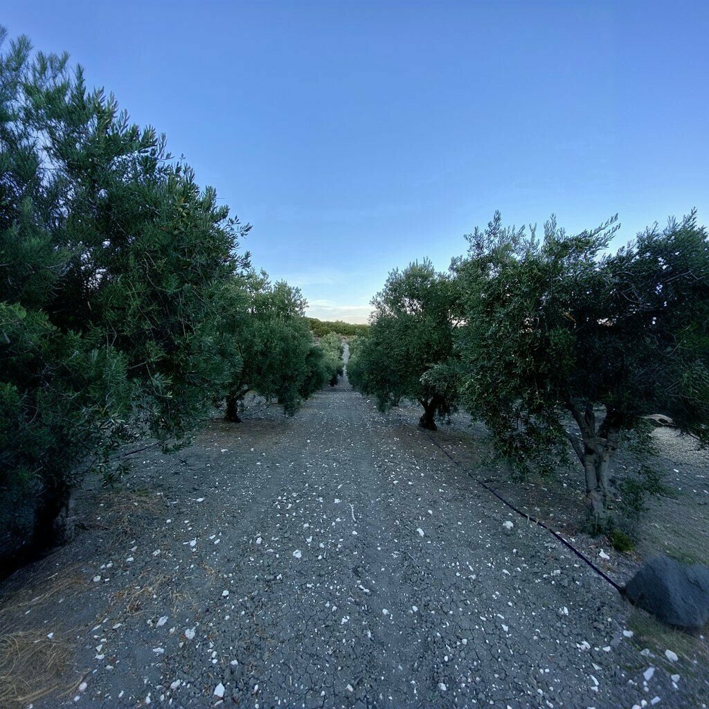 Primary school Tırkeş Primary School, Saruhanli, photo