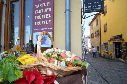 Фото Bella Vista Apartments