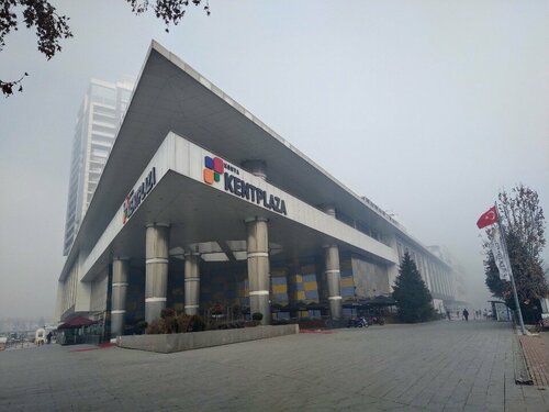 Zen Pırlanta Fotoğraf 2