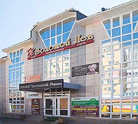 Фото Золотой лев