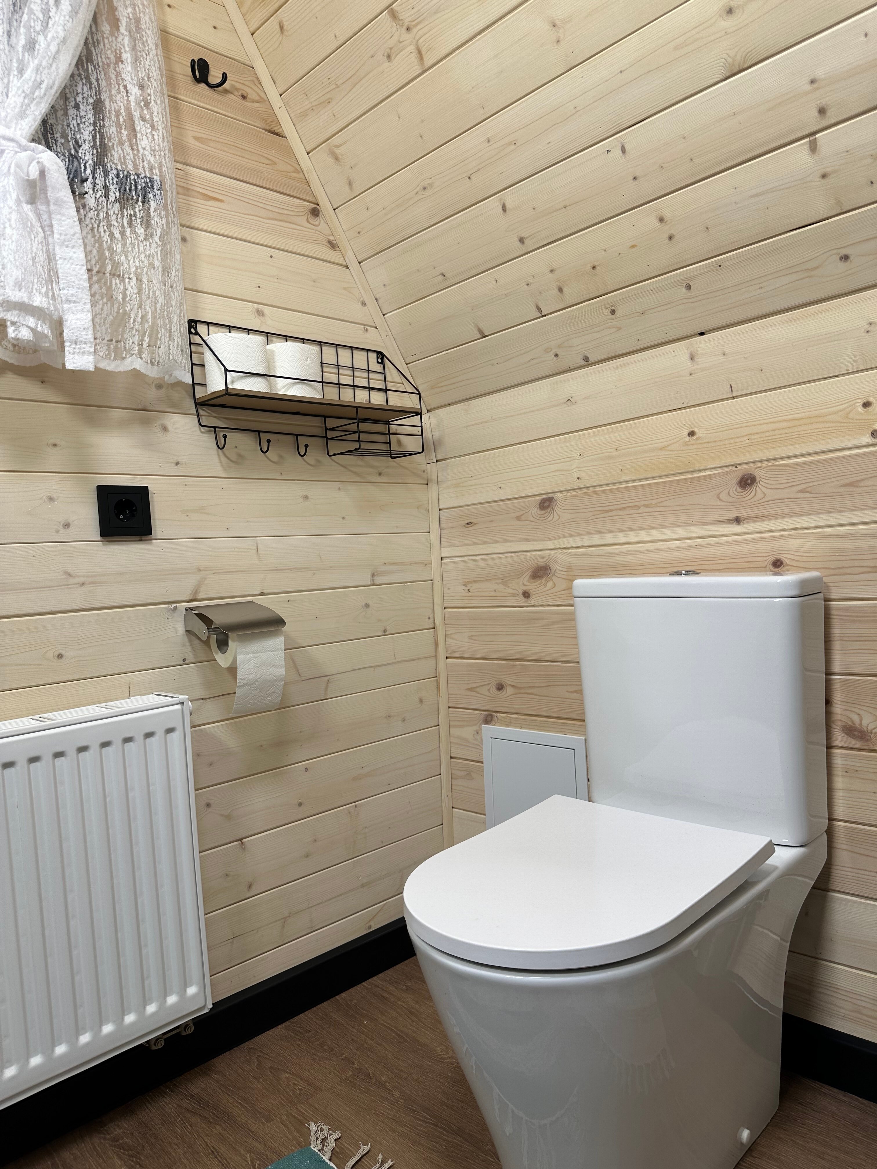 Фото Караси