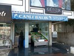 Canlı Balık (Стамбул, Бахчелиэвлер, махалле Бахчелиэвлер, улица Иззеттин Чалышлар, 20A), рыба и морепродукты в Стамбуле