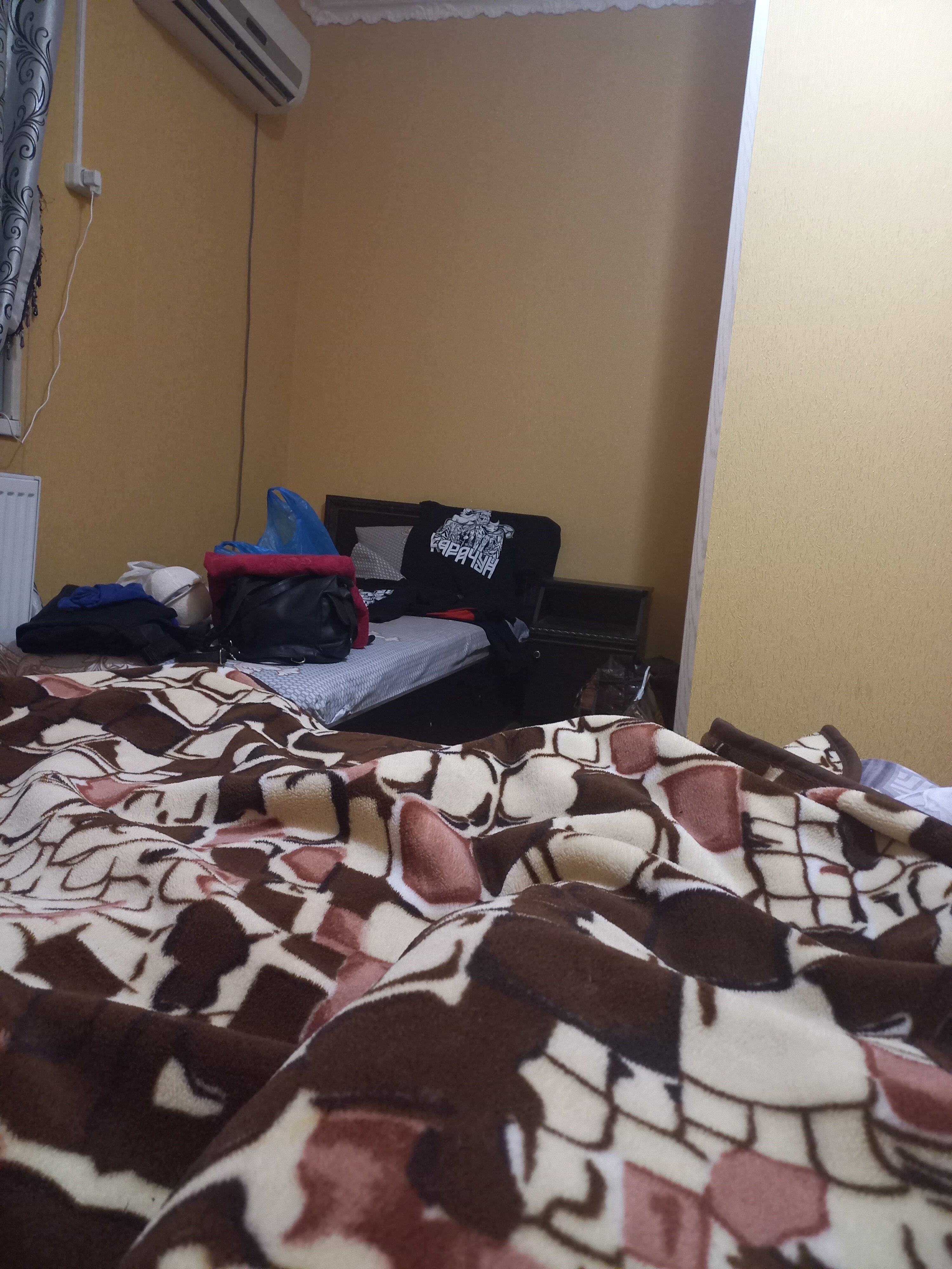 Фото Шамкир