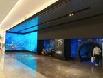 Emaar Square Aquarium World - Aquarium (İstanbul, Uskudar, Ünalan Mah., Libadiye Cad., 82/1/1) ، أحواض السمك