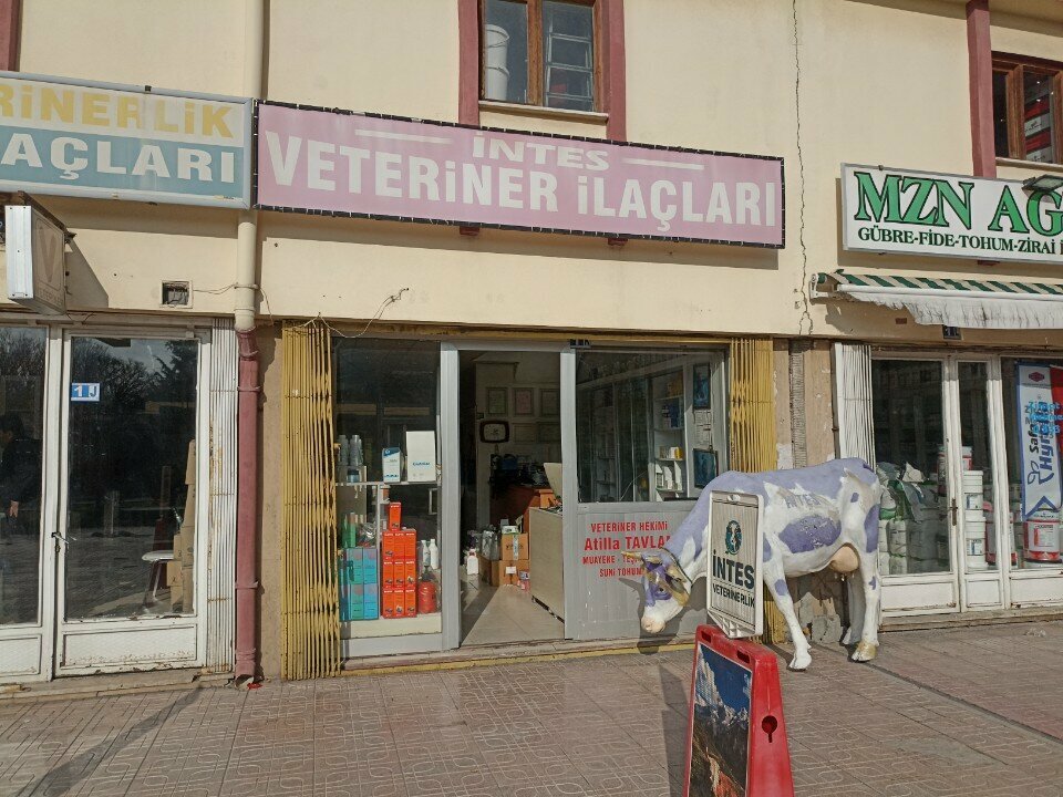 Veterinary pharmacy Intes Veterinary, Konya, photo