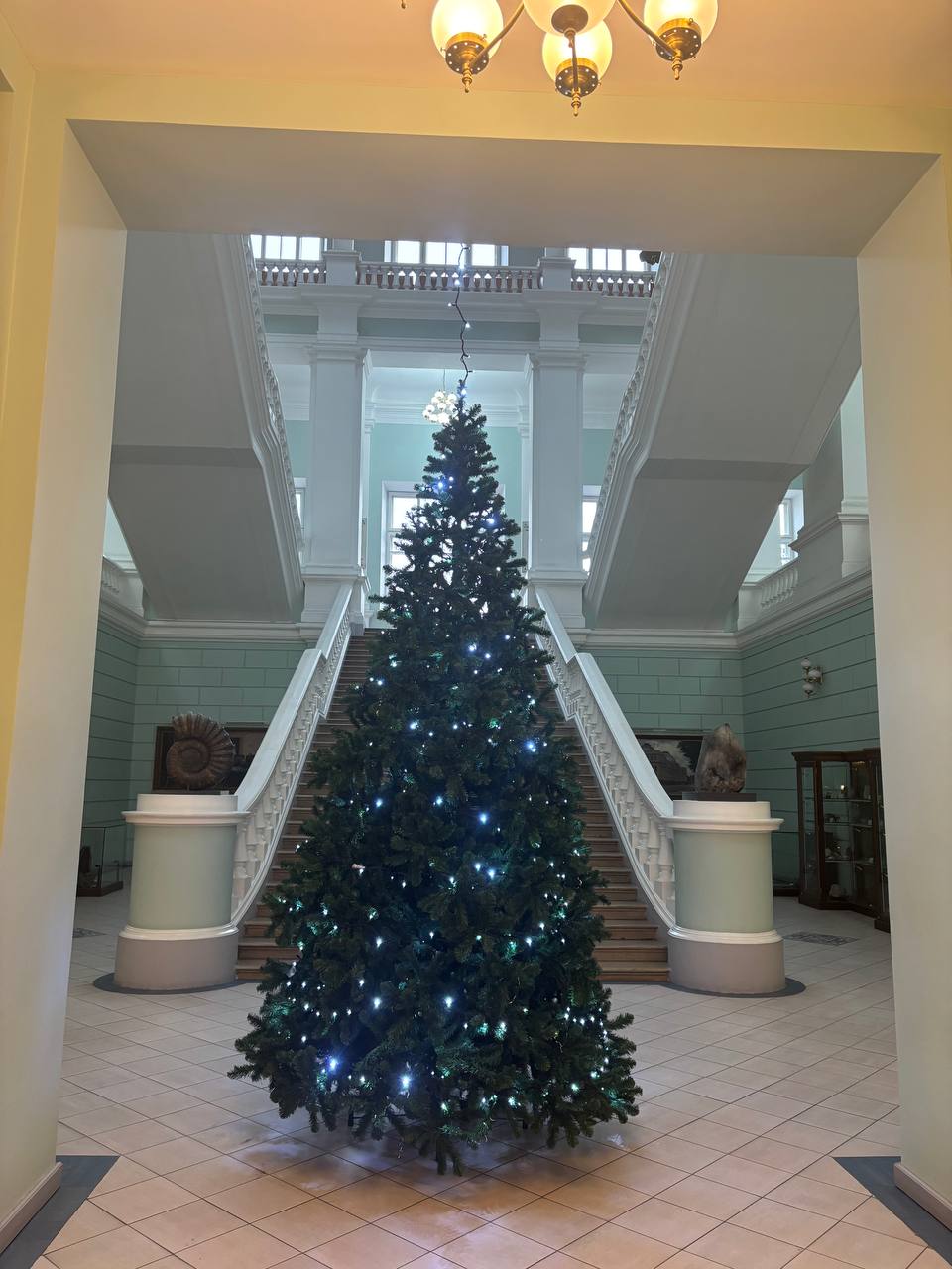 Фото Карпинский