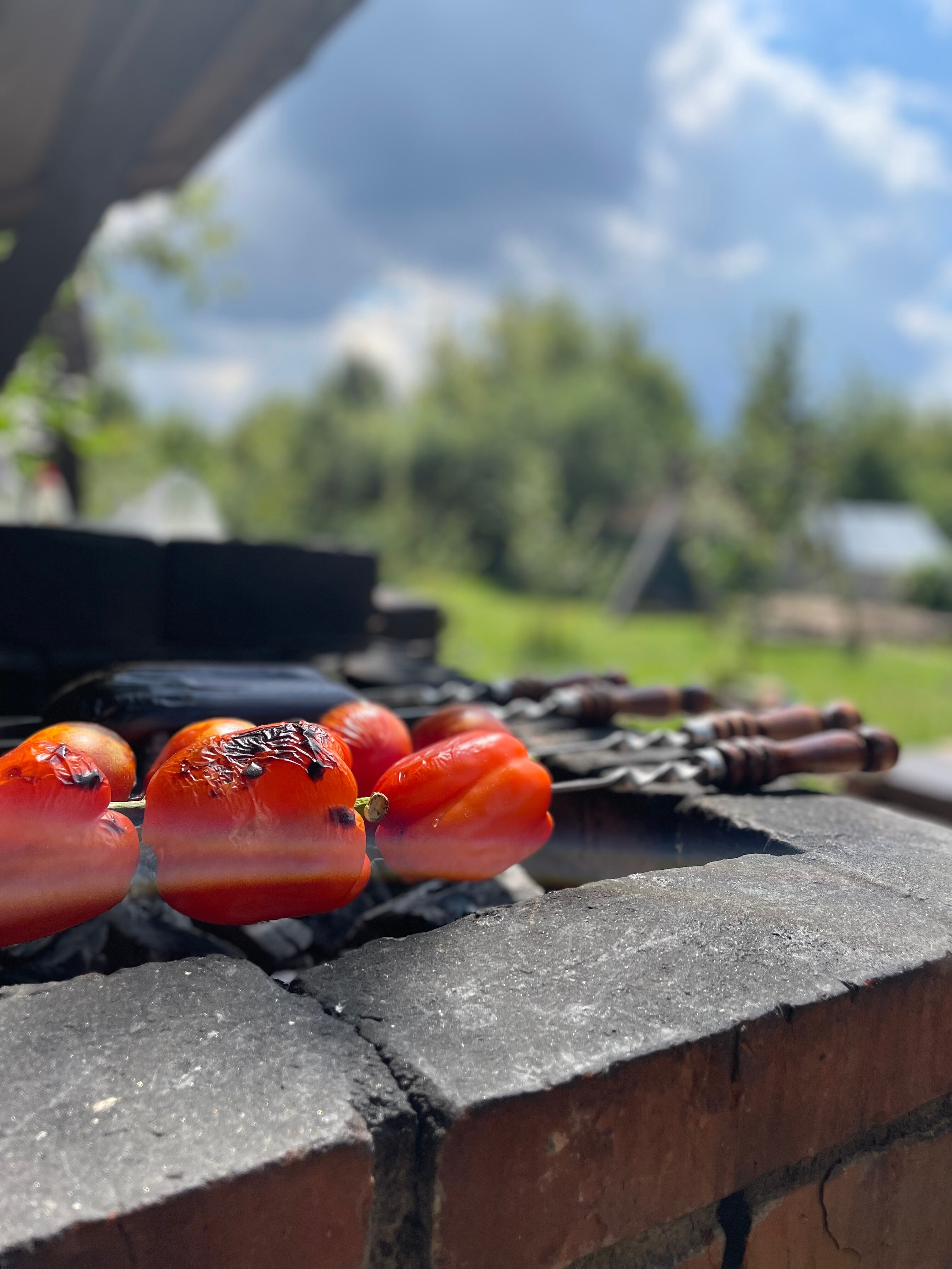 Фото Стрела