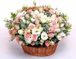 Love & Flowers (rabochiy posyolok Kalininets, с4), floristeria