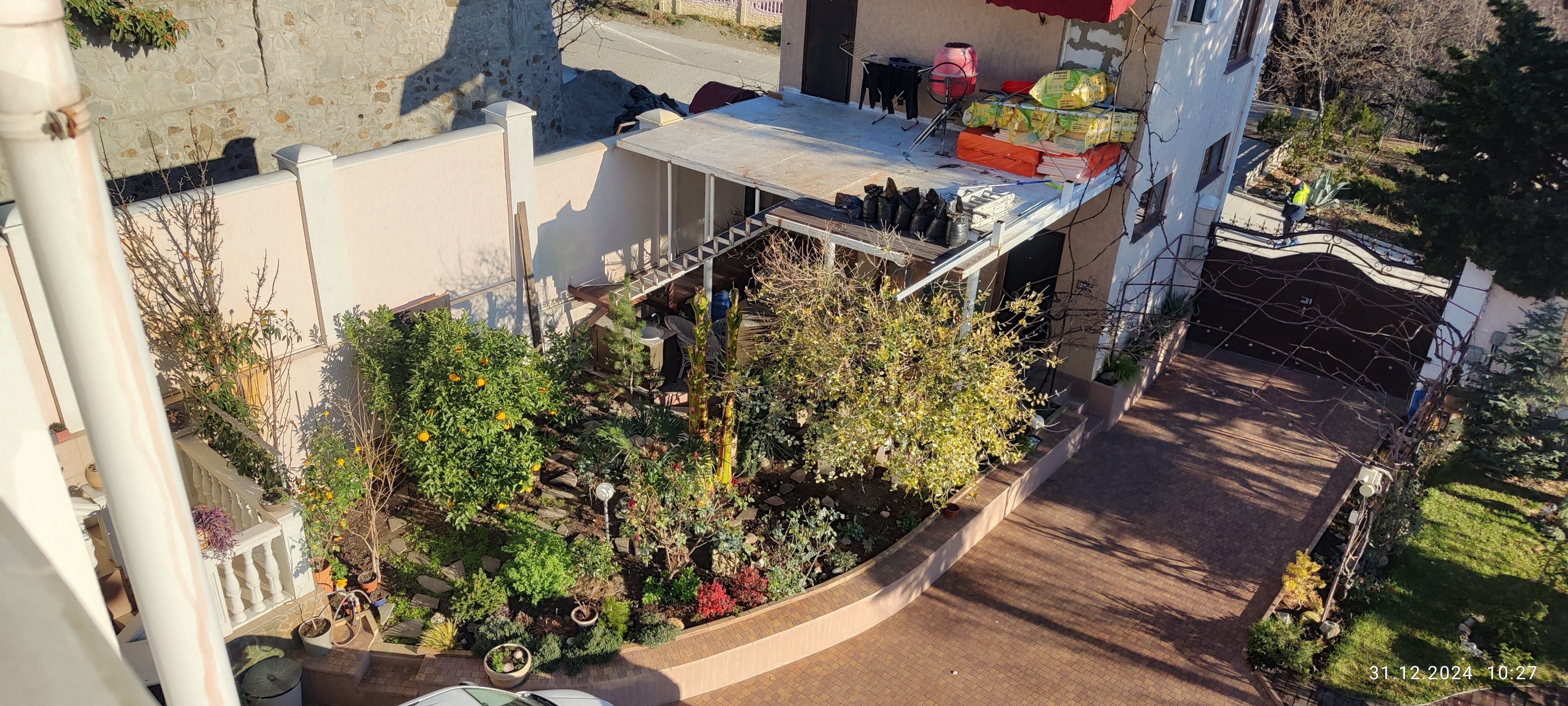 Фото Шафран