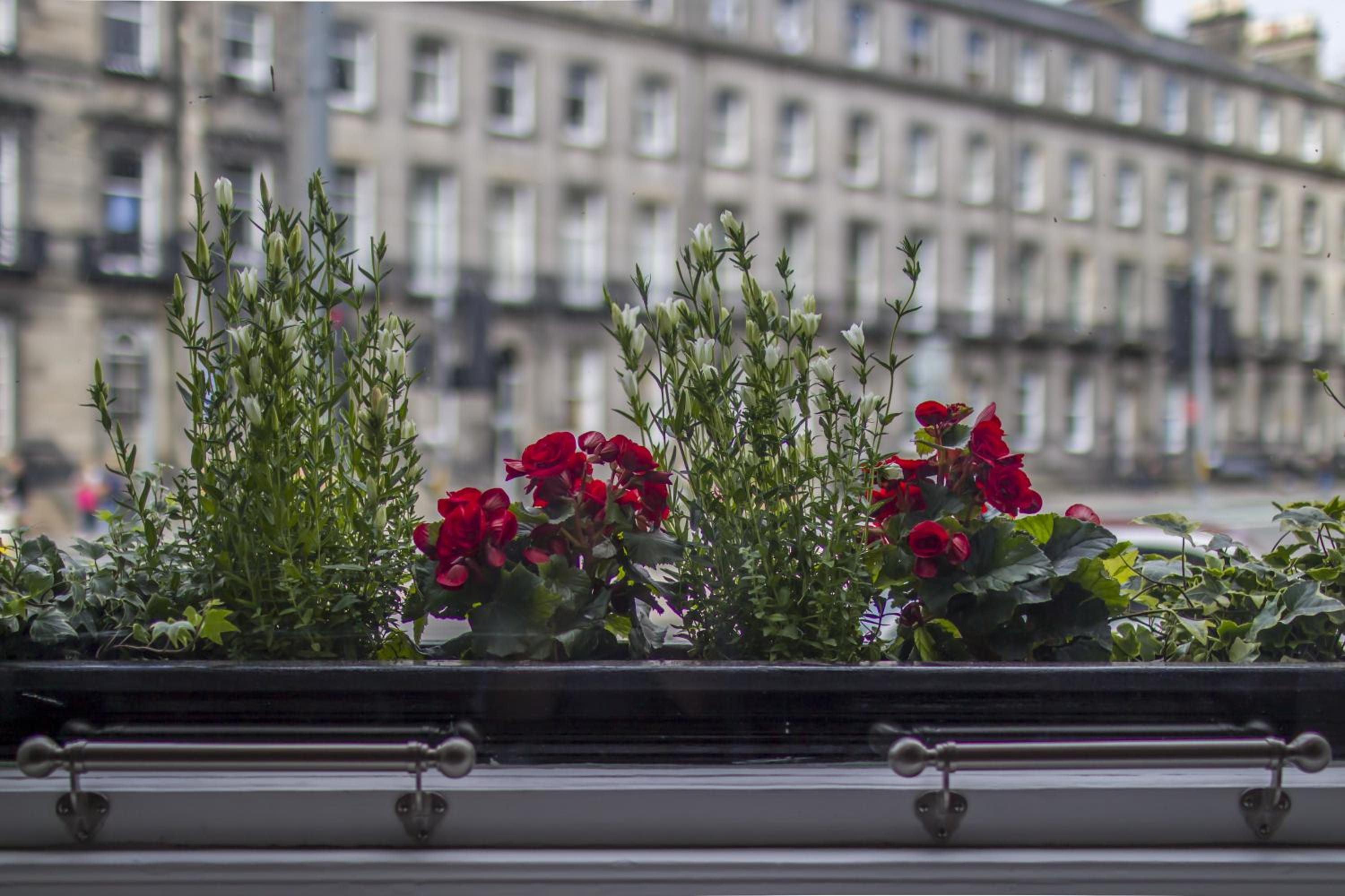 Фото Haymarket Apartment