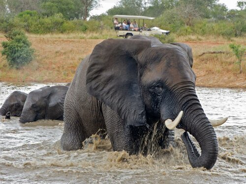 Гостиница Jabulani Safari