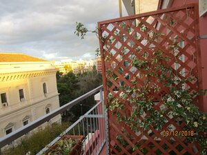 Гостиница Hotel Costa