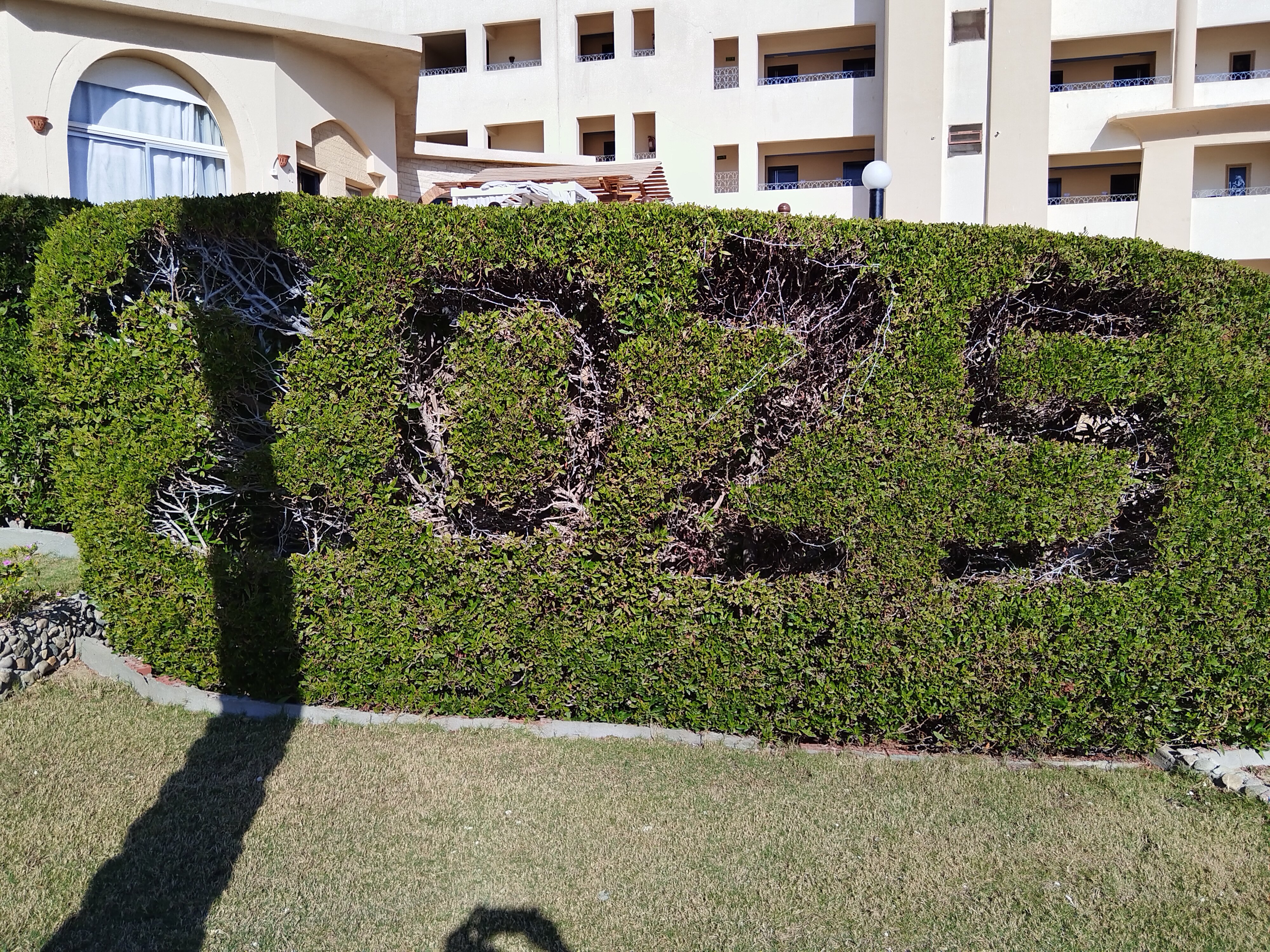 Фото King Tut Aqua Park Beach Resort