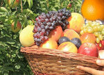 Ata Fruit Food (İzmir, Konak, İsmet Kaptan Mah., 1369 Sok., 55/C) ، بيع الخضروات والفواكه بالجملة