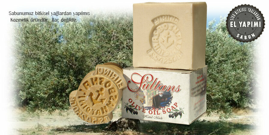 Household chemicals wholesale Bosnali Sabun, Efeler, photo