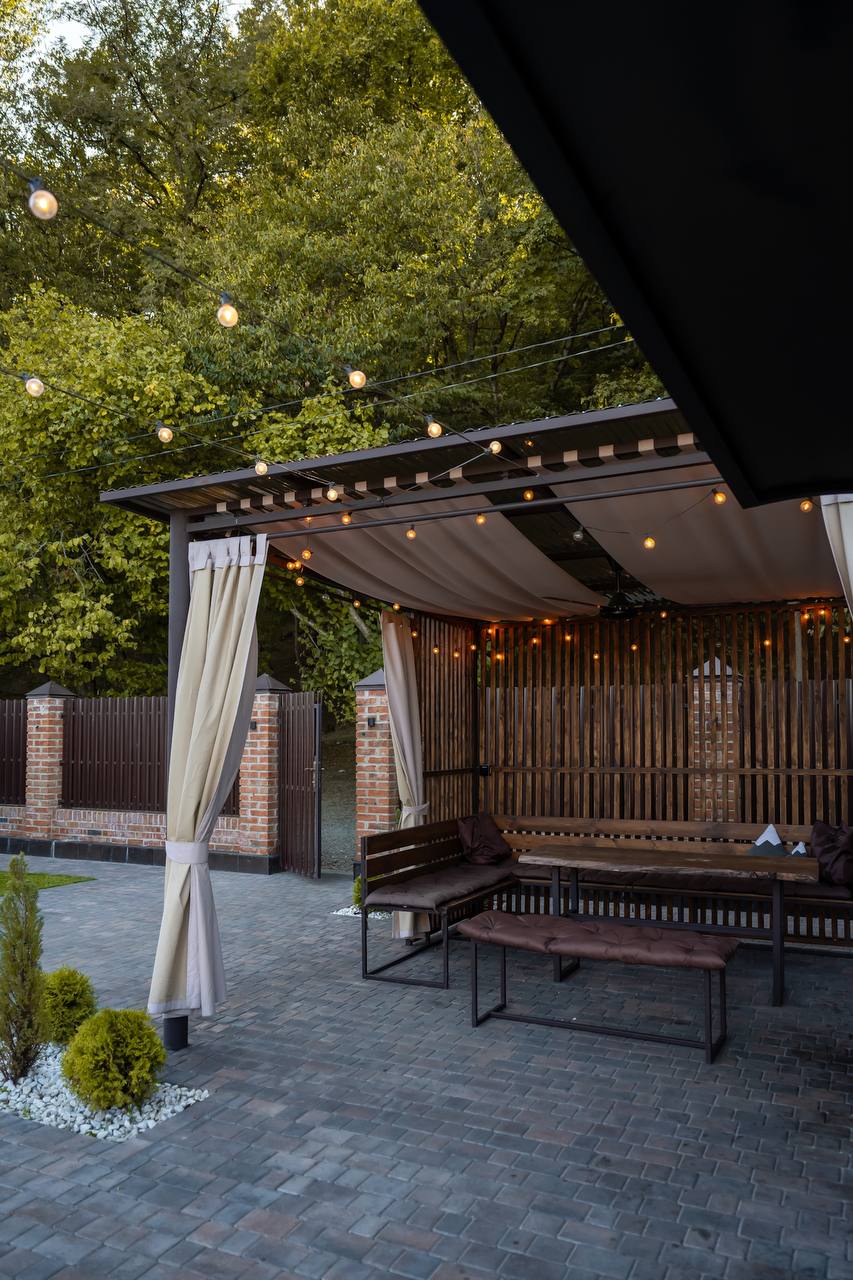 Фото Green forest