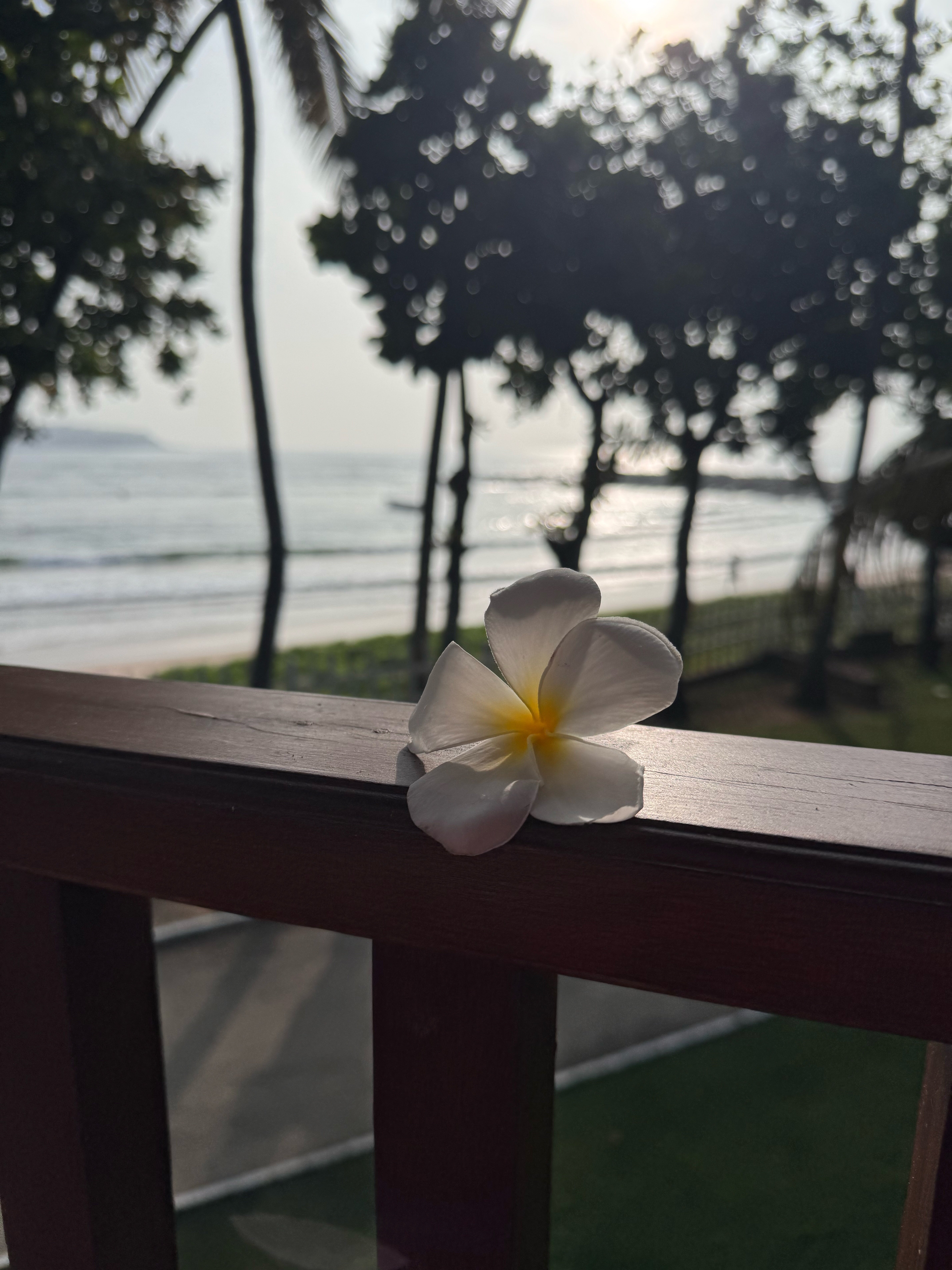 Фото Dickwella Resort and SPA