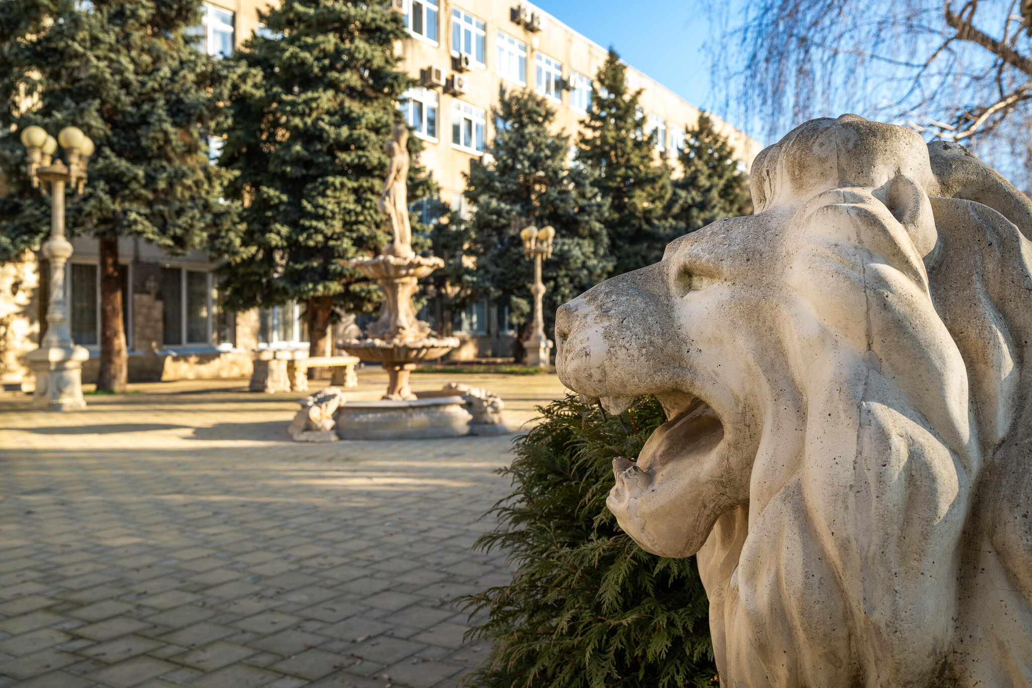 Фото Монарх