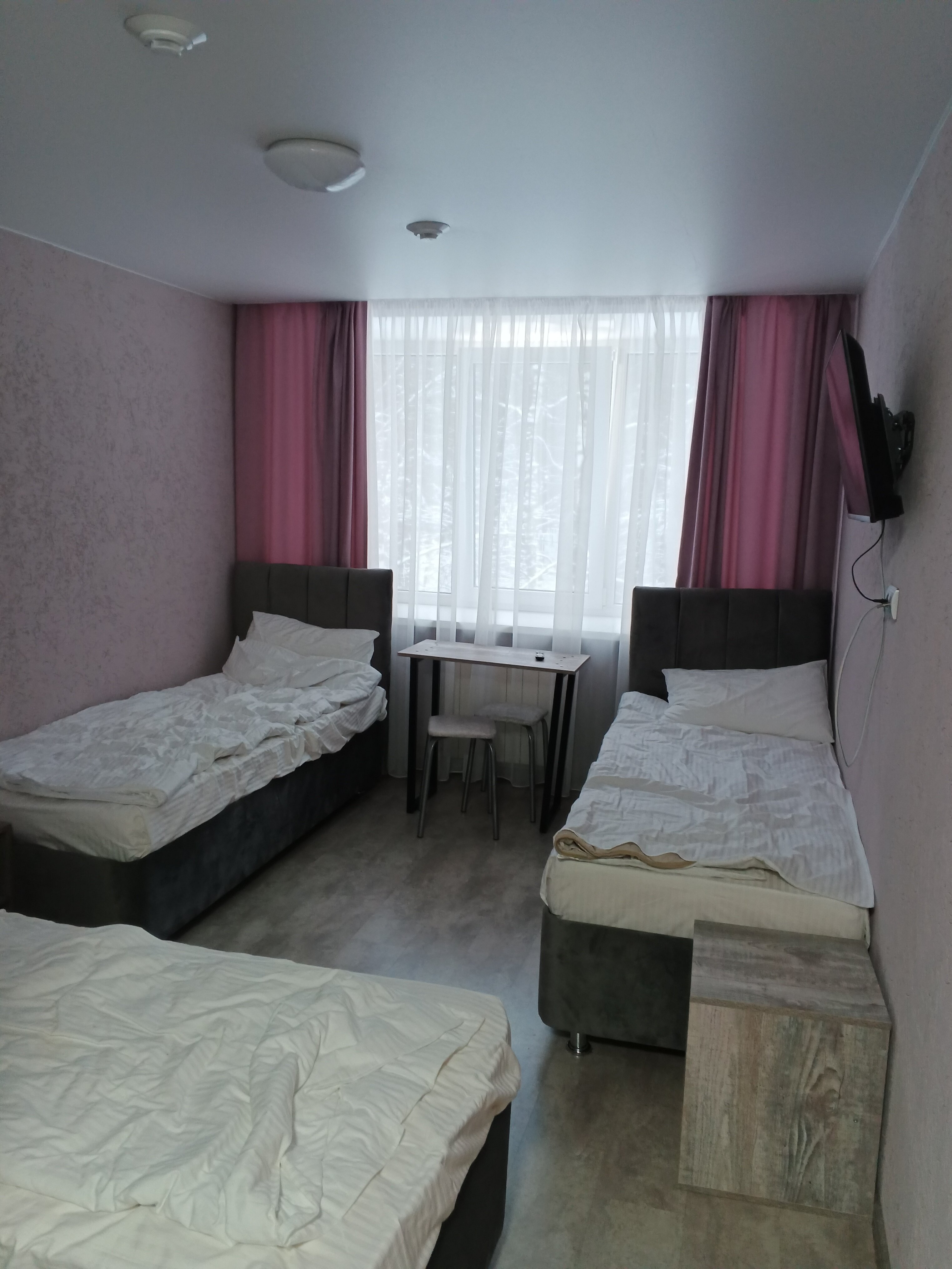 Фото Большая медведица