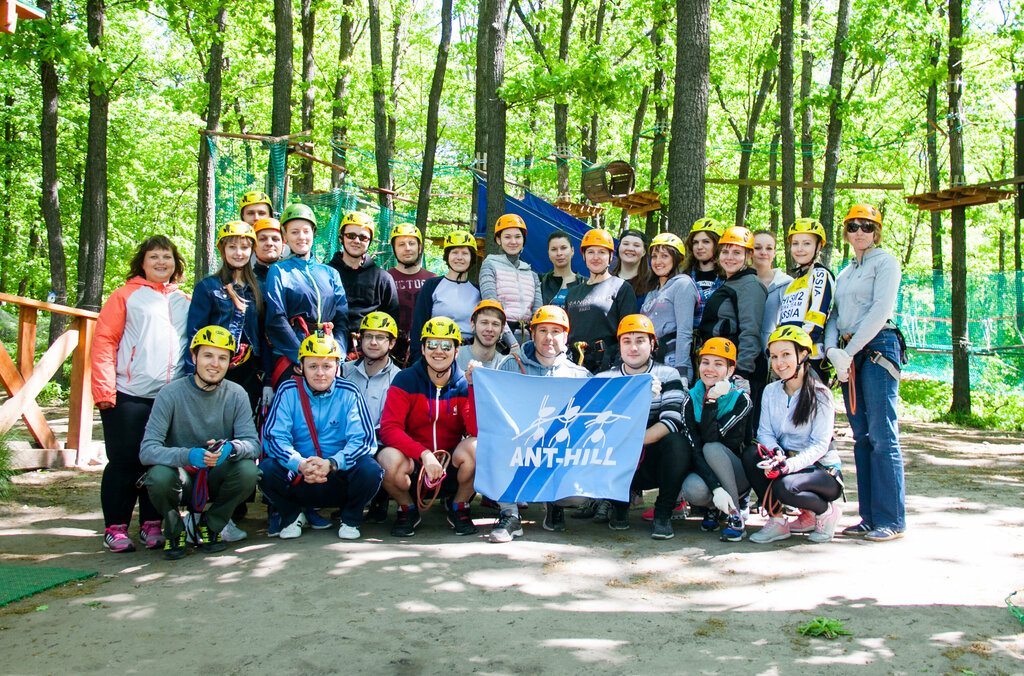 IT company Ant-hill, Voronezh, photo