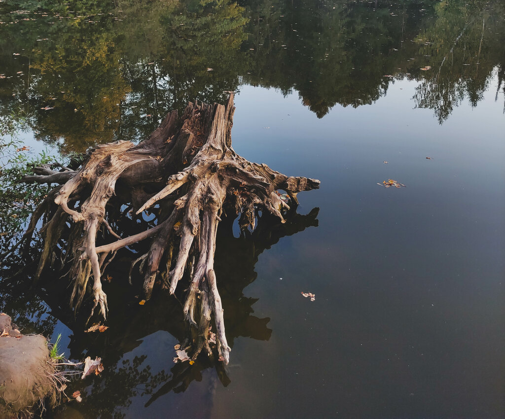 Beach Пляж, Moscow and Moscow Oblast, photo