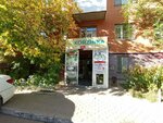 Islamina (Táýelsizdik dańǵyly, 24Б), sports club