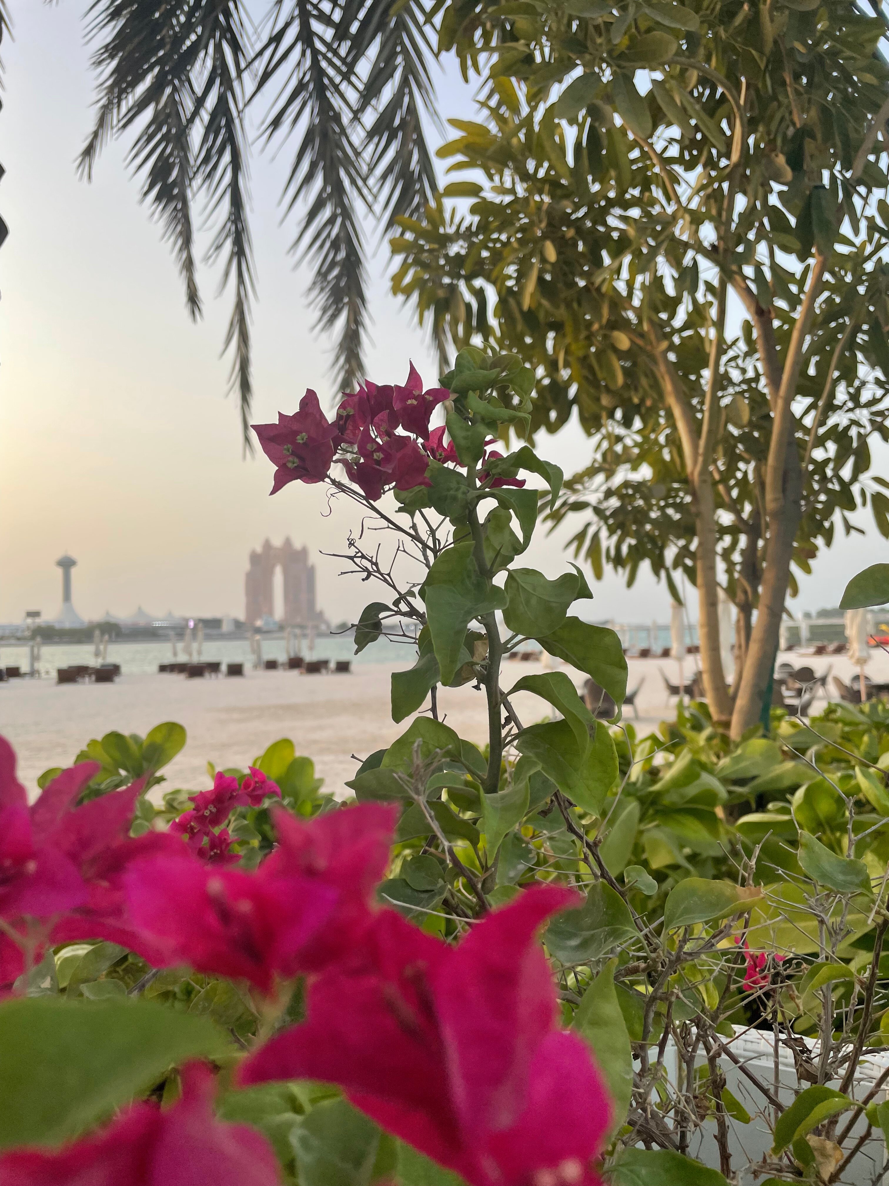 Фото The St. Regis Abu Dhabi