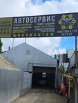 Archer_repair (Leushinskaya ulitsa, 60) ، ورشة لتصليح السيارات
