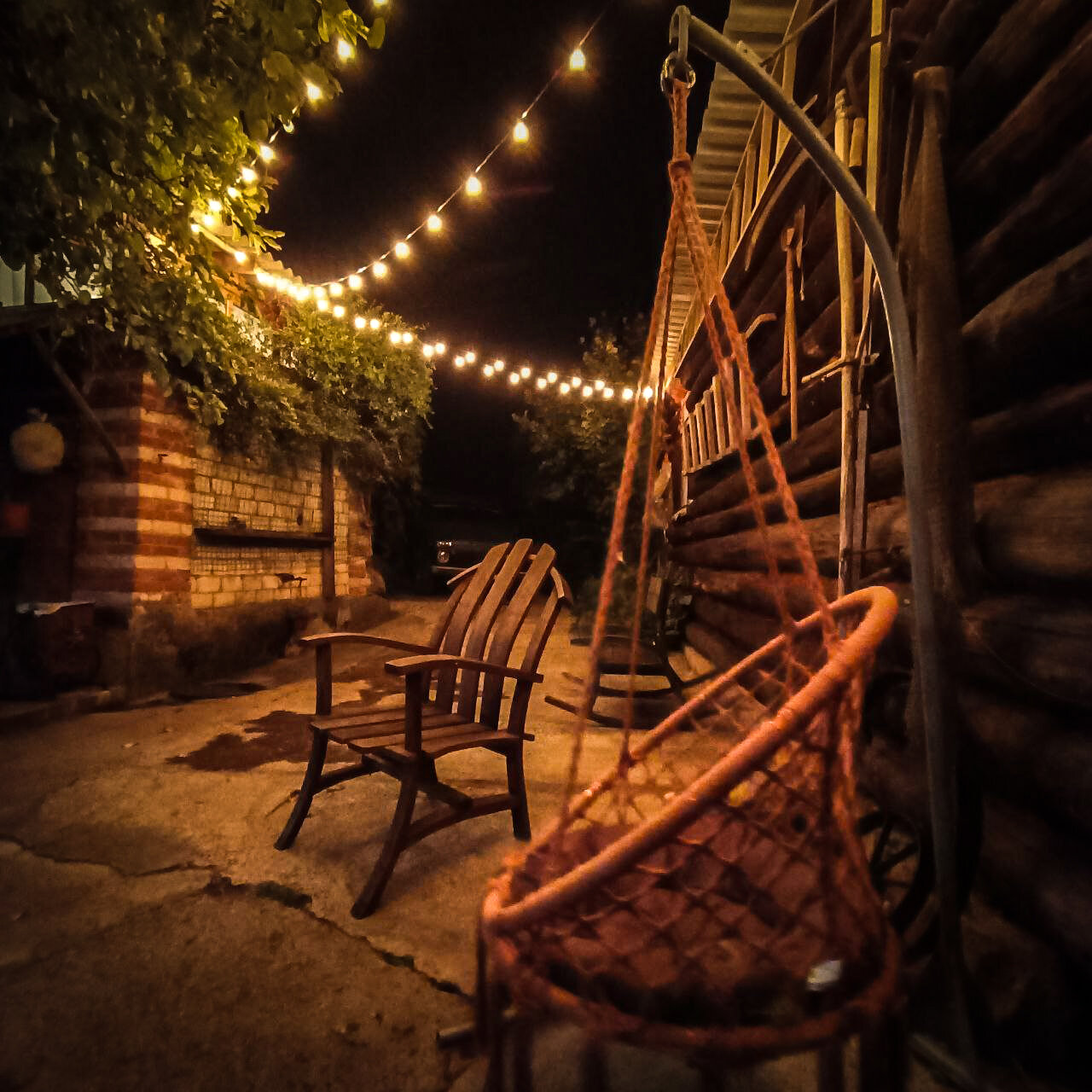 Фото Горная Роза