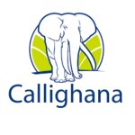 Callighana Company Limited (Ayawaso West, Adomi Street, 4), management company
