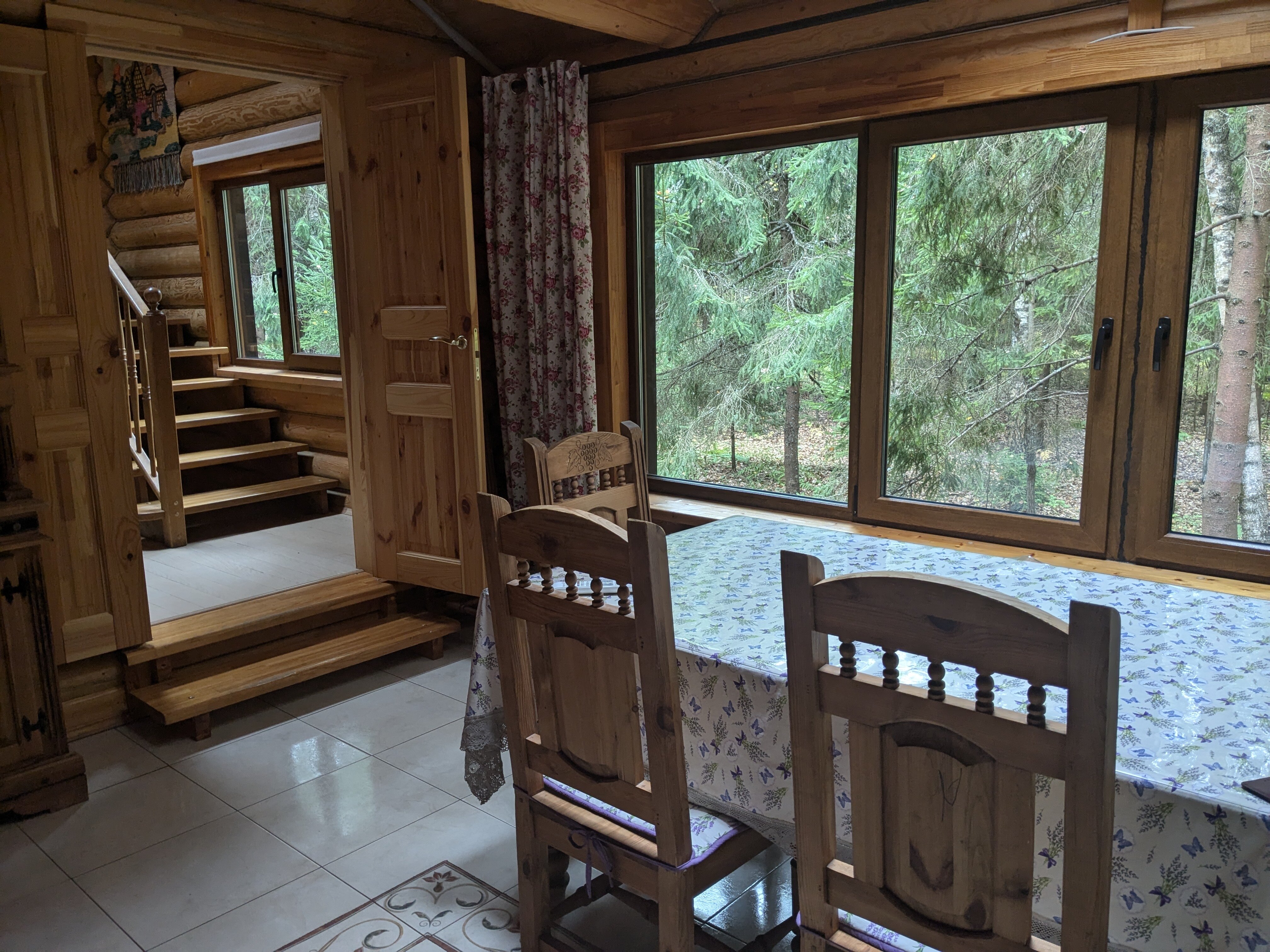 Фото Дикий Лис