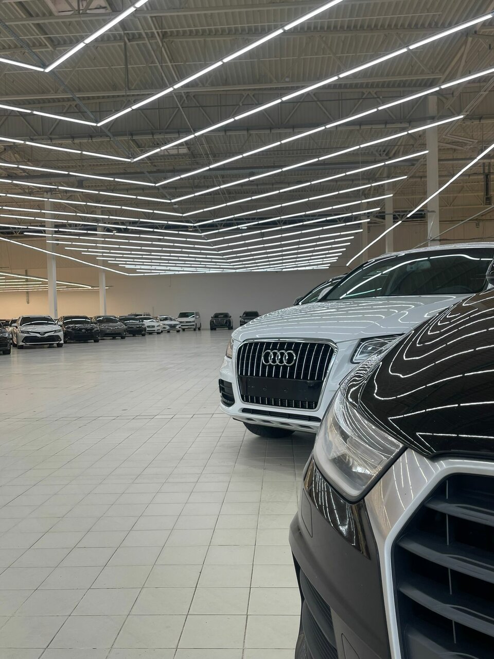 photo Авто Арена